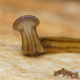 Diversibipalium multilineatum recreating a scene out of Life (2017)